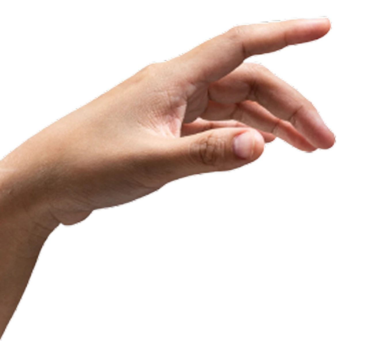 Human Hand